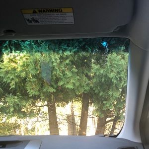 Meet your Posher, Quincy